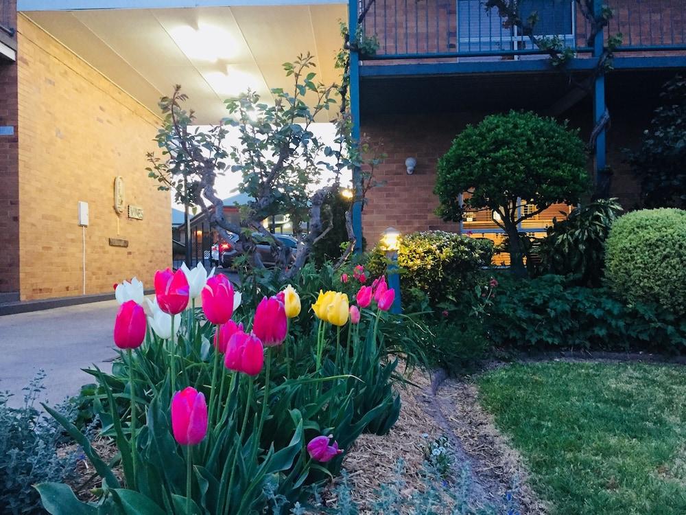 The Vines Motel & Cottages Stanthorpe Exterior foto